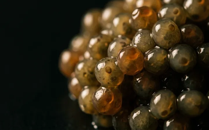 What Is Black Caviar? Fish, Origin and Real Prices